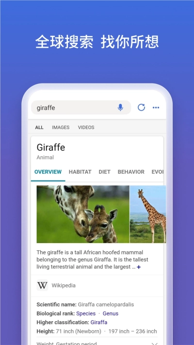 NewBing手机版图1