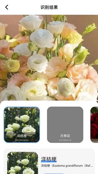 花草识图师(2)