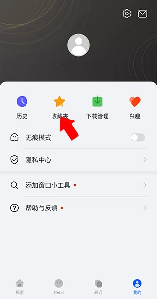 petal搜索图7