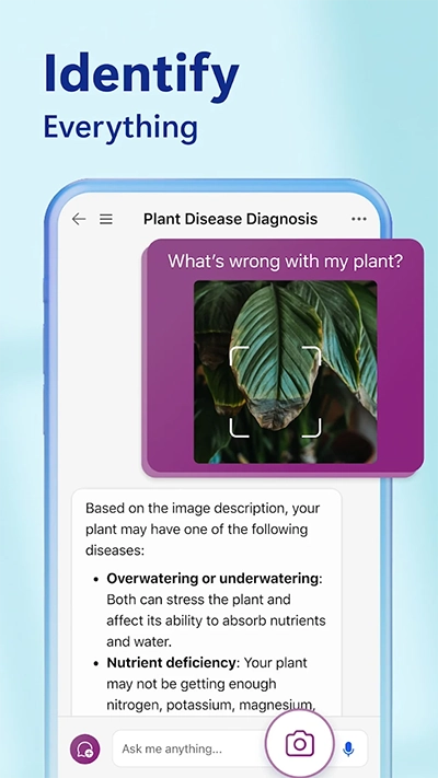微软bing国际版-图6
