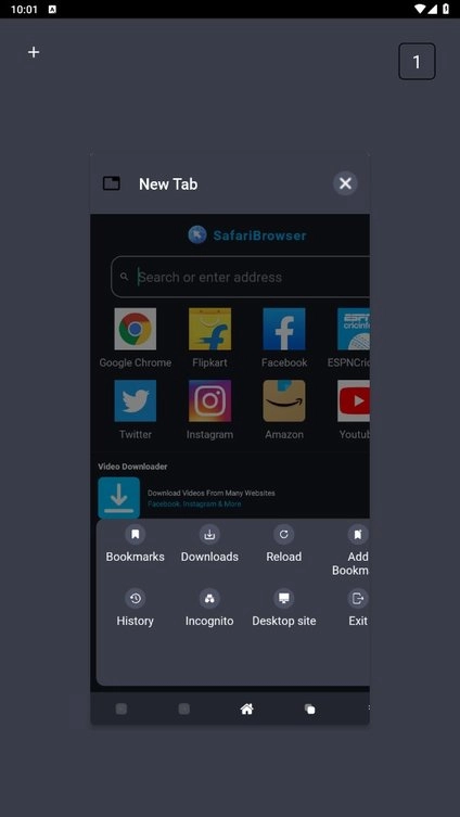 safari手机浏览器图3