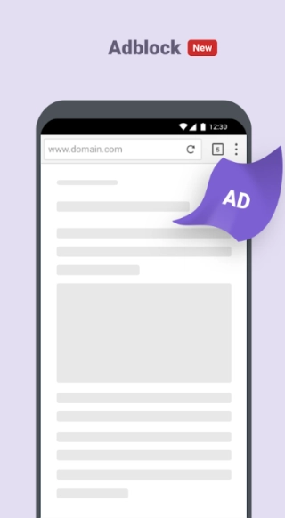 puffin浏览器手机版图1