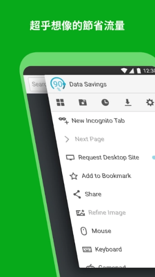 puffin浏览器手机版图6