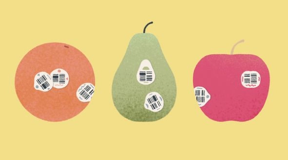 a little to the left安卓版