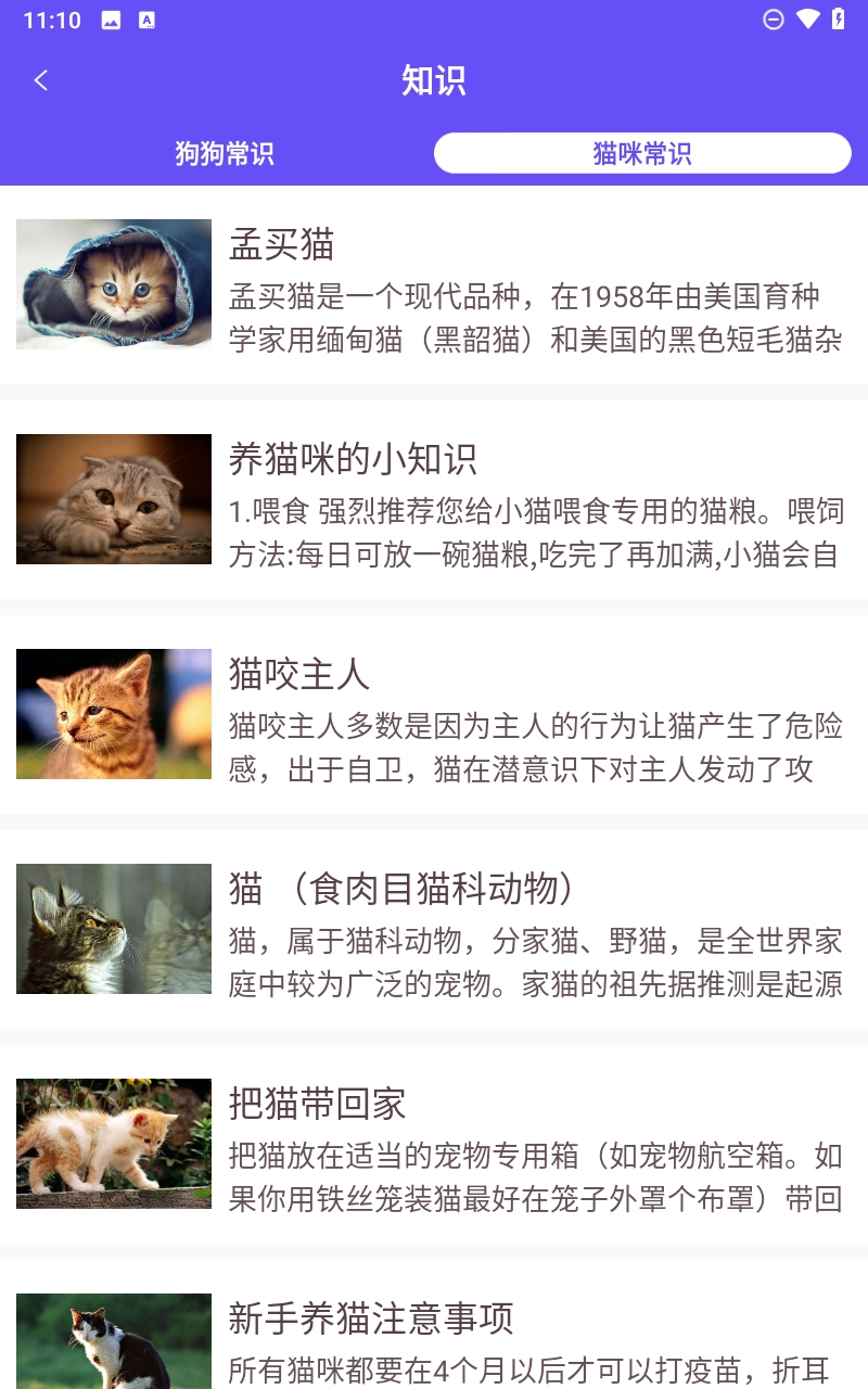 萌宠猫狗交流器