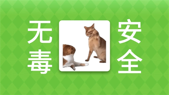 女巫的毒药猫Meme版