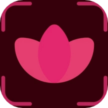 拍照识花识别植物