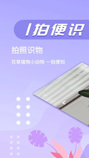 万图拍植物识别 2