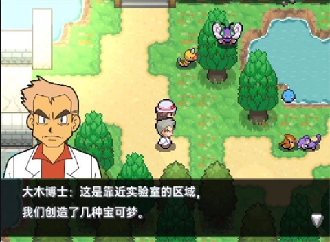 口袋妖怪黑白手机版 1