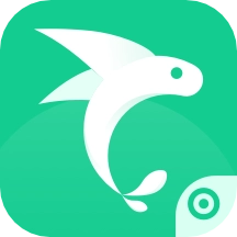 飞鱼专注最新版