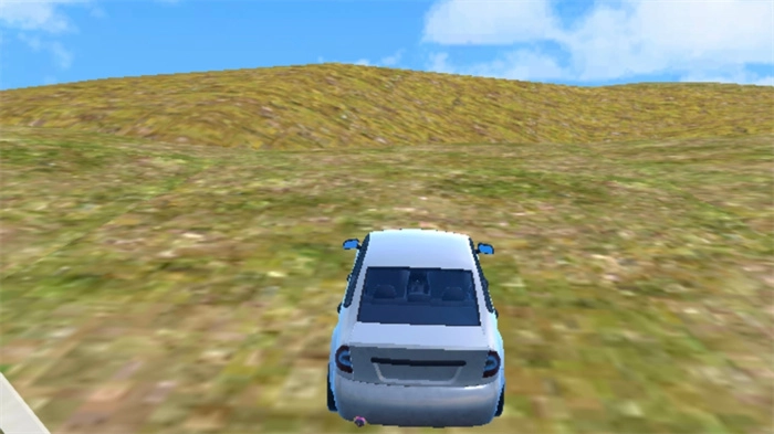 狂野赛车3D最新版图1