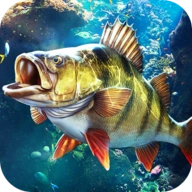欢乐钓鱼大师()