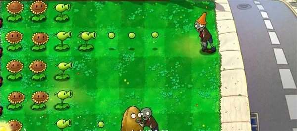 植物大战僵尸(Plantsvs.ZombiesSkills)1