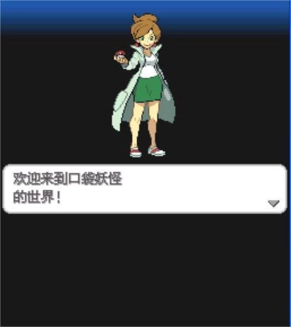 口袋妖怪黑白2中文版图2