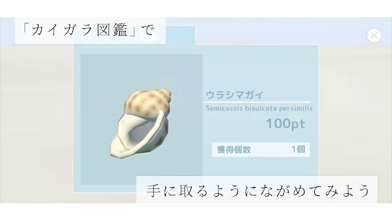 海之声(ウミノオト)截图1