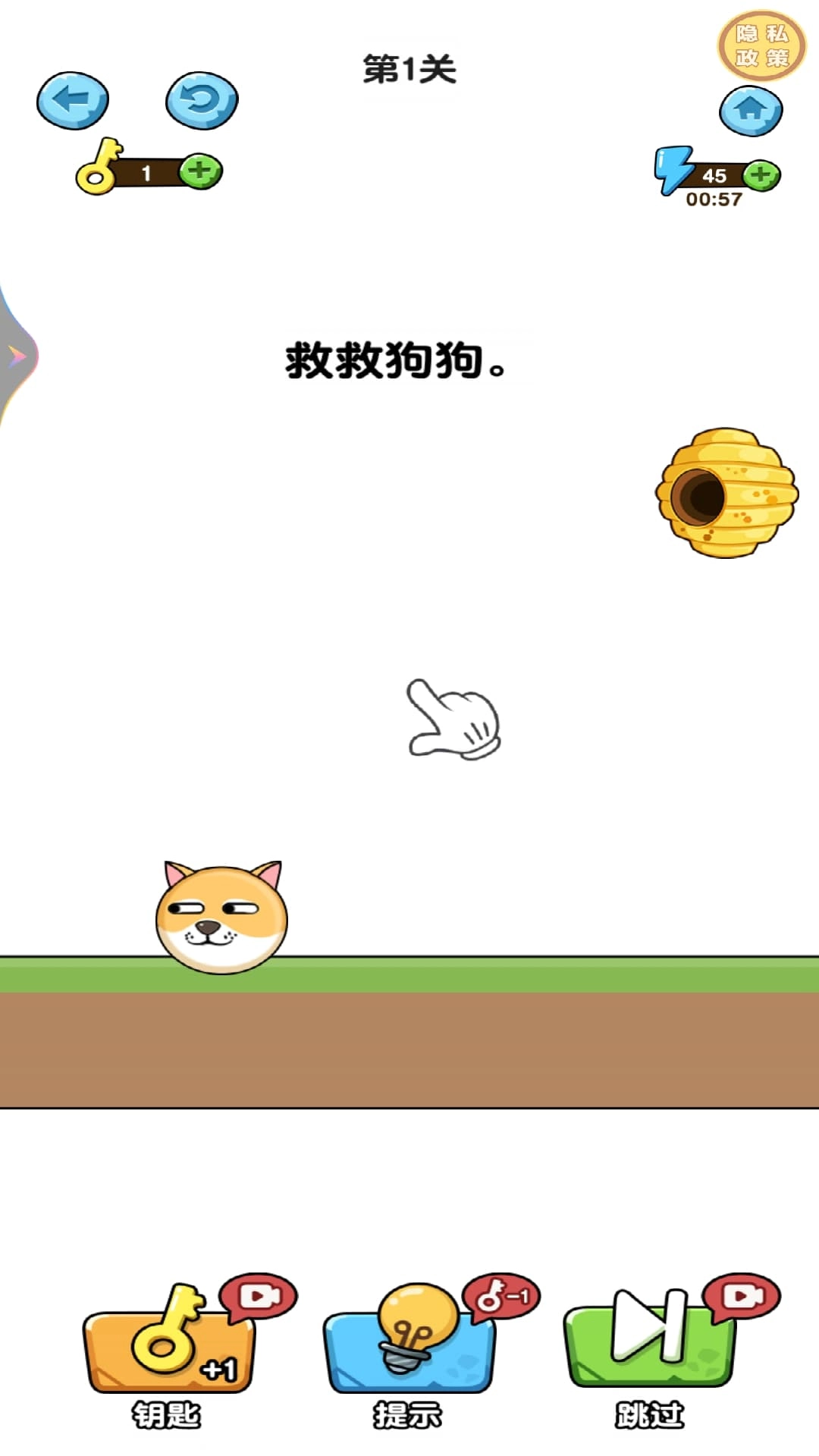 汪星人救援日记