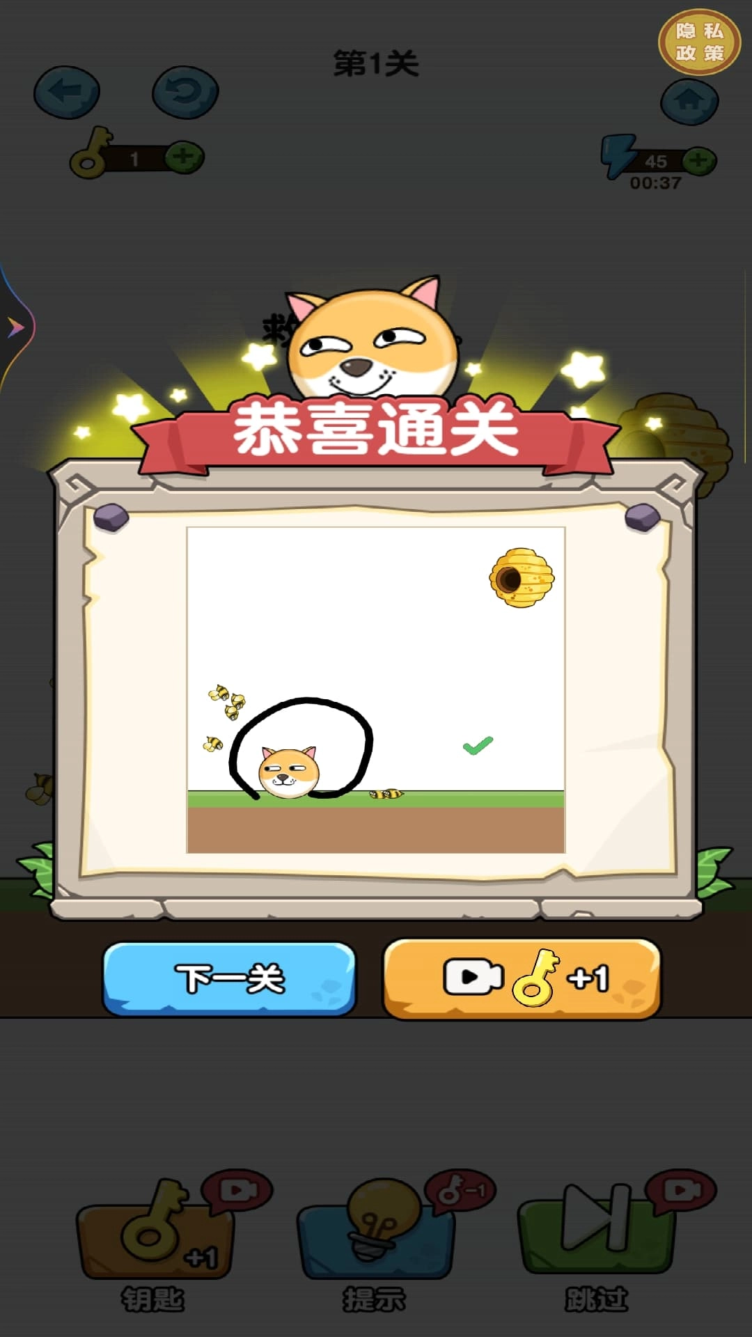 汪星人救援日记