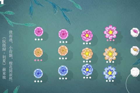 莲漪(RippleBlossom)