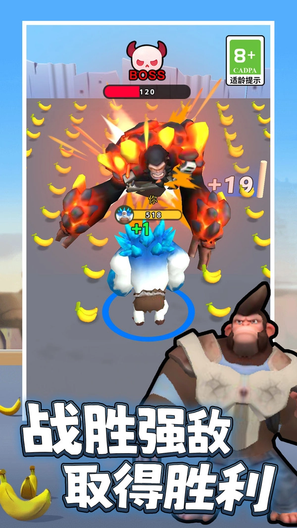 我是格斗小能手(1)