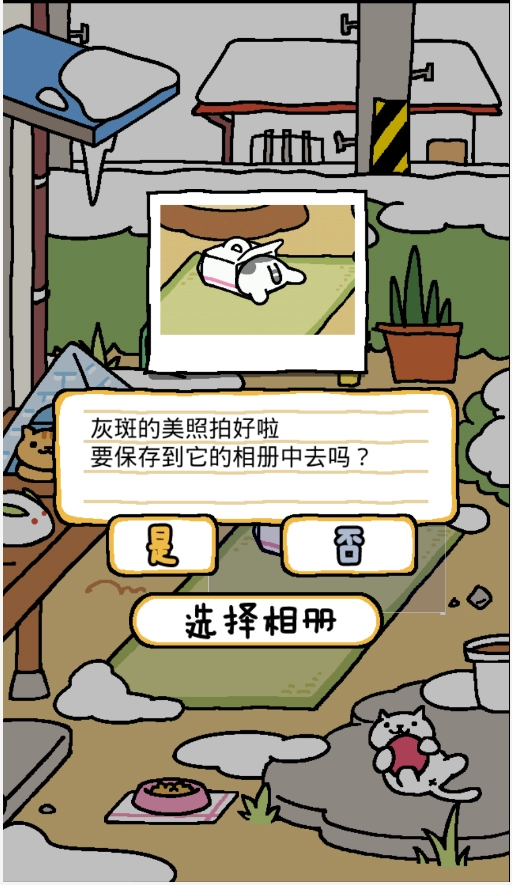 猫咪后院(NekoAtsume)(6)