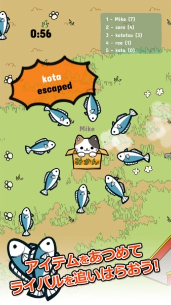 公园里的野猫(2)