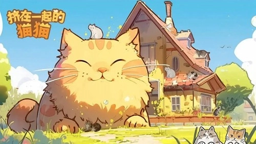 挤在一起的猫猫