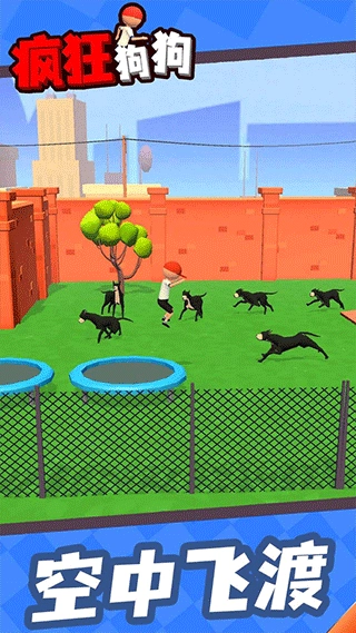 疯狂狗狗图5