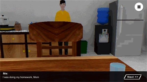 皮卡布宁静的夜晚图3