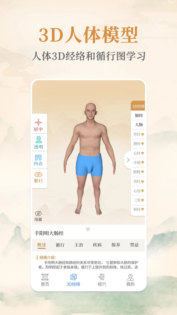 经络穴位标准指南3