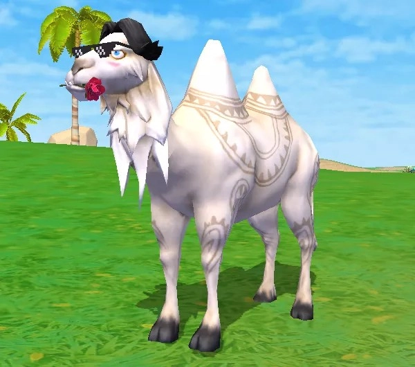 【Sule】奇遇寵物進階詳解