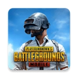 pubg轻体直装版