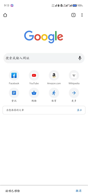 谷歌浏览器app