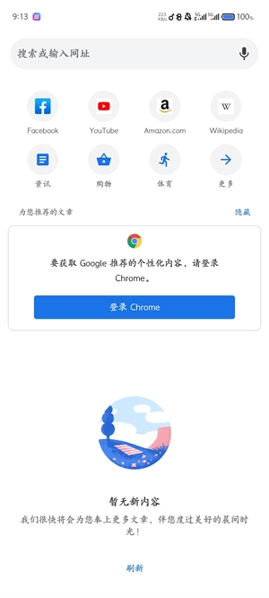 谷歌浏览器app