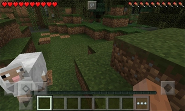 我的世界基岩图1