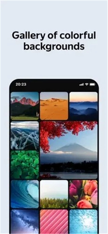 俄罗斯引擎浏览器安卓版