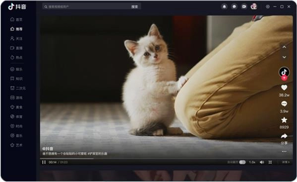 抖音车载版1