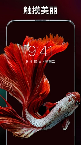 主题壁纸专业版图2