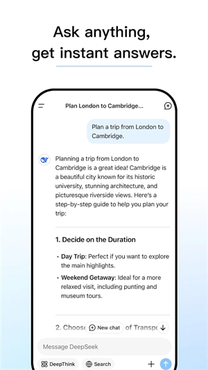deepseek国外版截图1