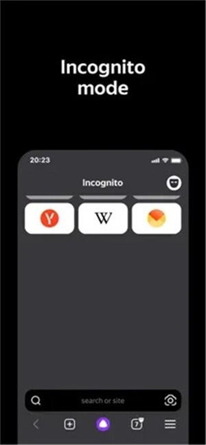 俄罗斯搜索引擎浏览器(1)