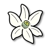 azahar模拟器安卓专业版