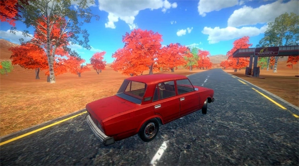 我的真实汽车(1)