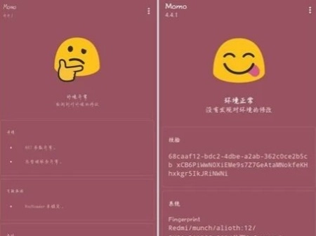 momo检测