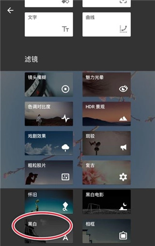 snapseed中文版安装