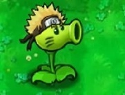 植物大战僵尸火影版正版