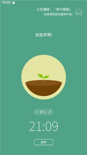 Forest专注森林专业版