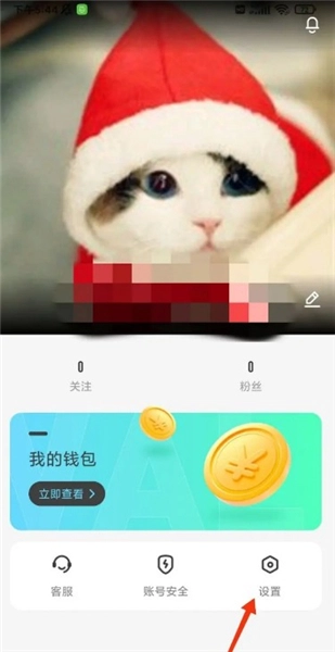 桃子秀场安装手机版