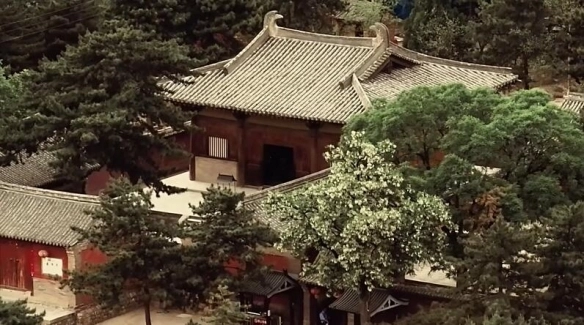 黑神话悟空正版新版本