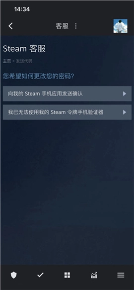 steam中文版手机版正版