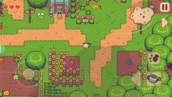 大头菜菜历险记