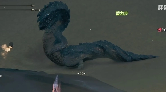 怪物獵人中荒野沙海龍的位置在哪？